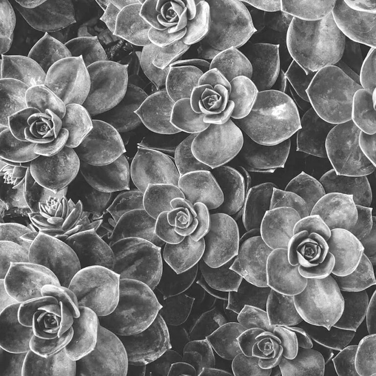 banner 5.jpg